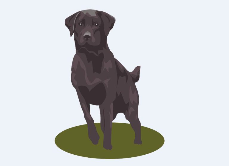 Logo_hundeportal Logo_hundeportal