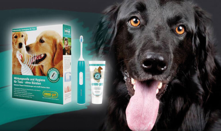 Zertifizierte Dentalygiene mit Emmi Pet Zertifizierte Dentalygiene mit Emmi Pet