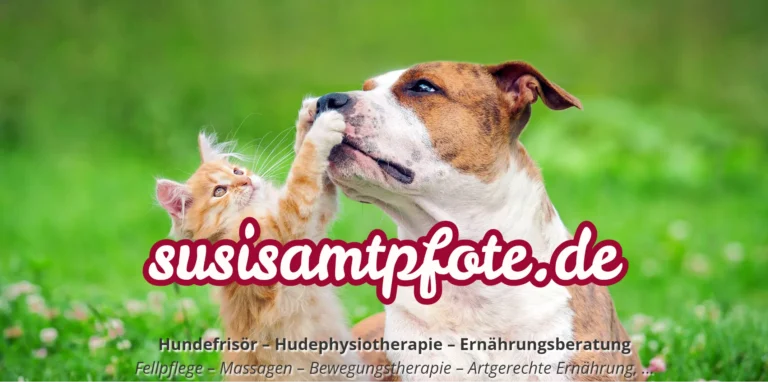 susisamtpfote logo 1 768x382