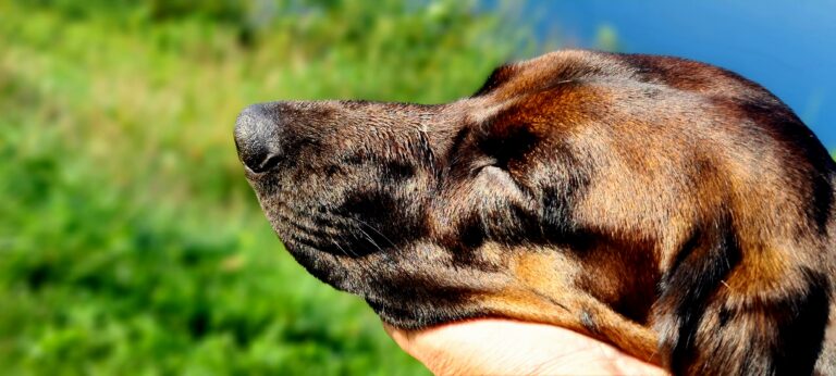 20240920 101305 768x346