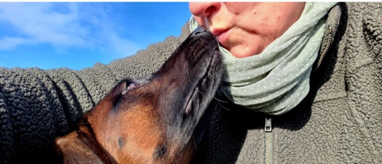 Screenshot 20240706 142721 Gallery 768x331