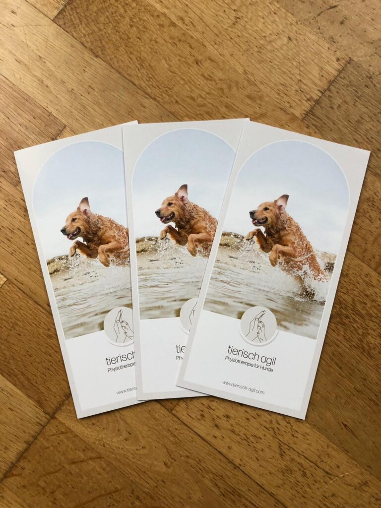 Flyer Bild 768x1024